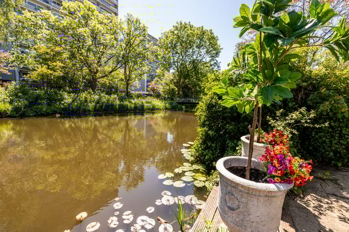 Foto 46 van Meeuwstraat 120