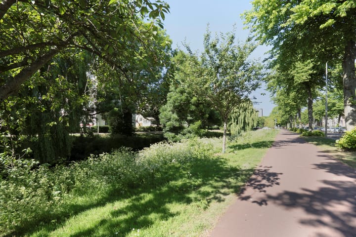 Foto 34 van Steenwijklaan 298