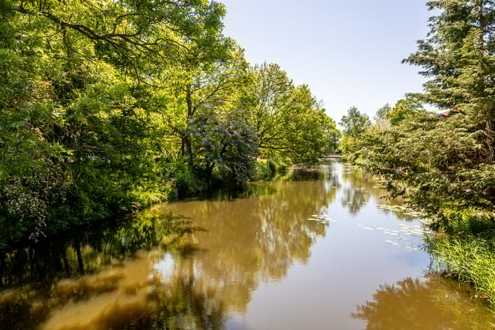 Foto 52 van Meeuwstraat 120