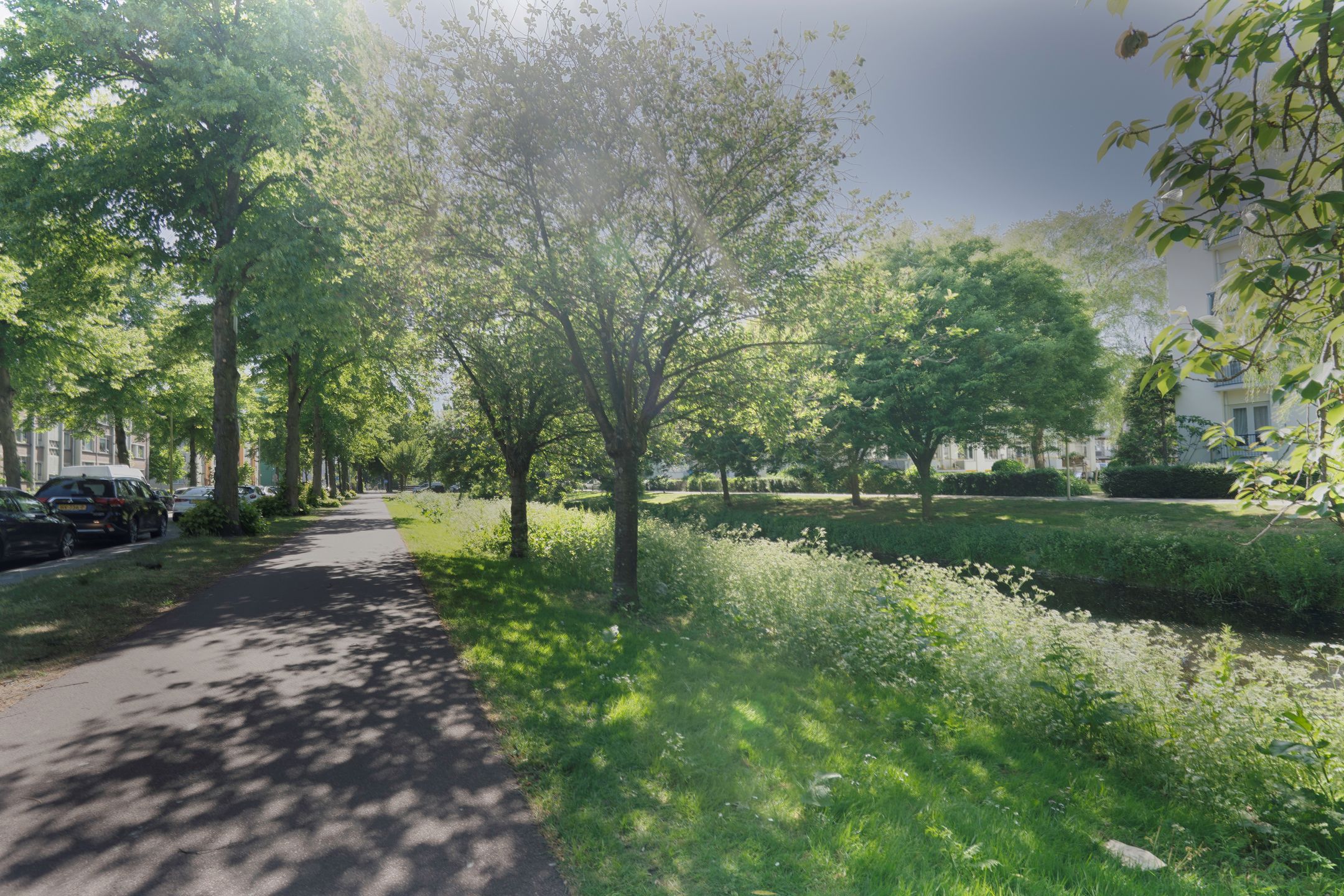 Foto 33 van Steenwijklaan 298