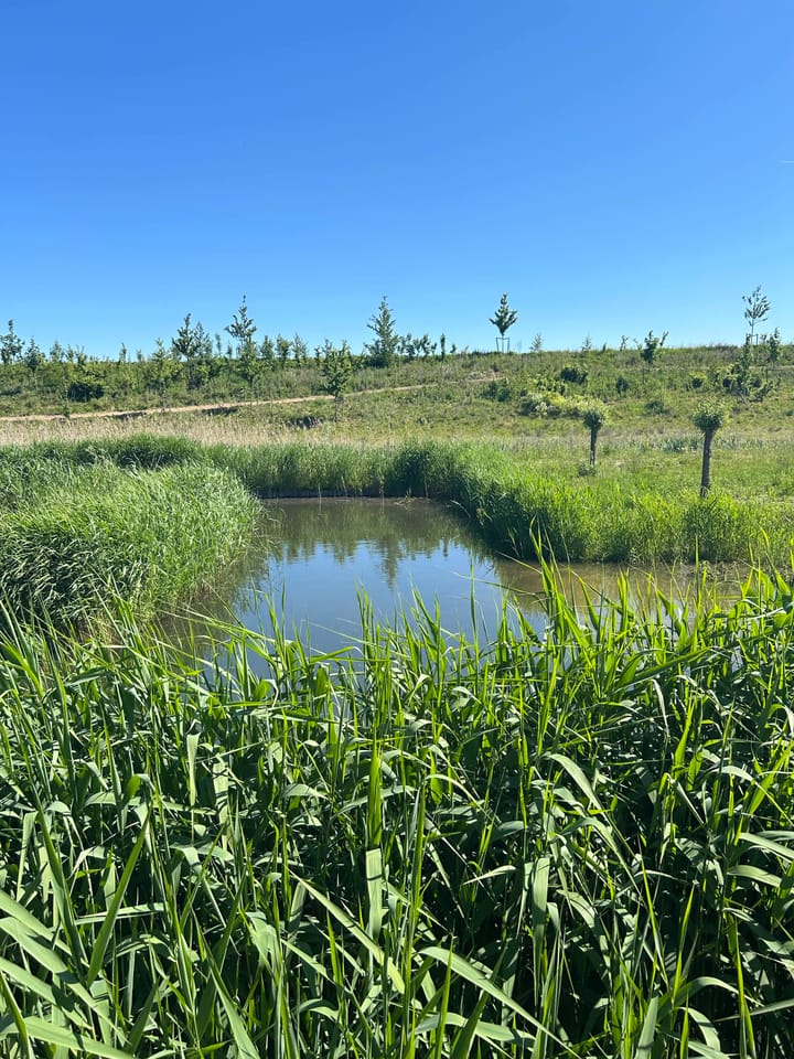 Foto 39 van Rijksstraatweg 342