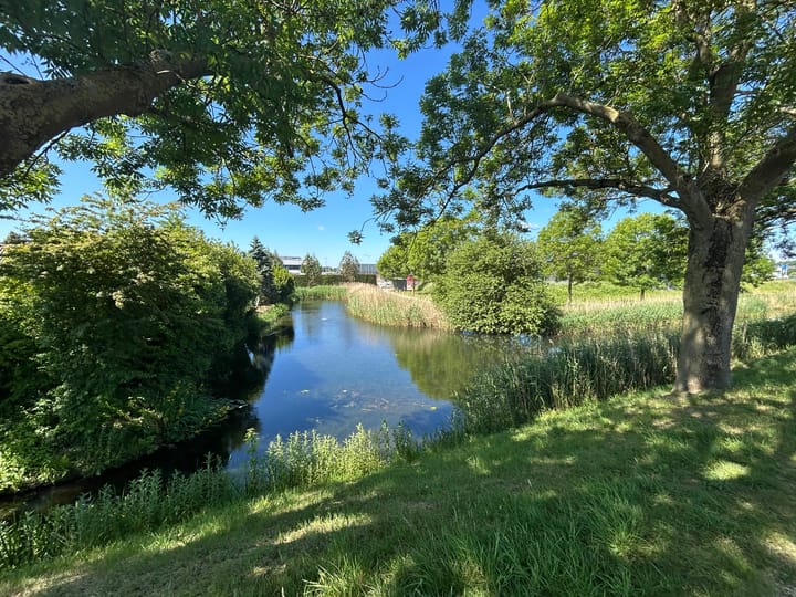 Foto 2 van Rijksstraatweg 342