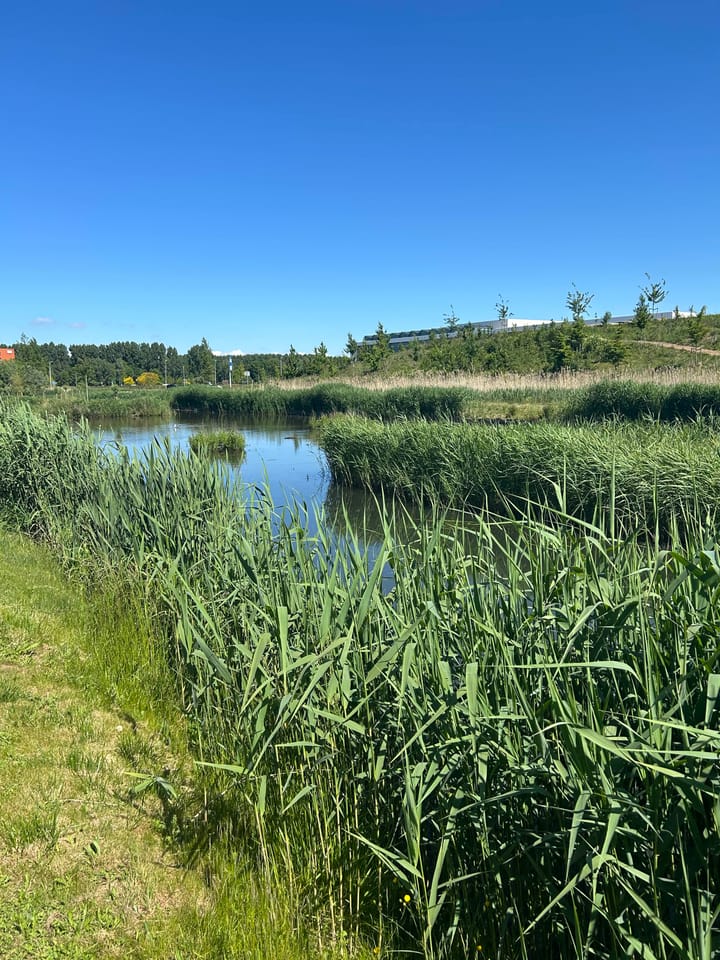 Foto 38 van Rijksstraatweg 342