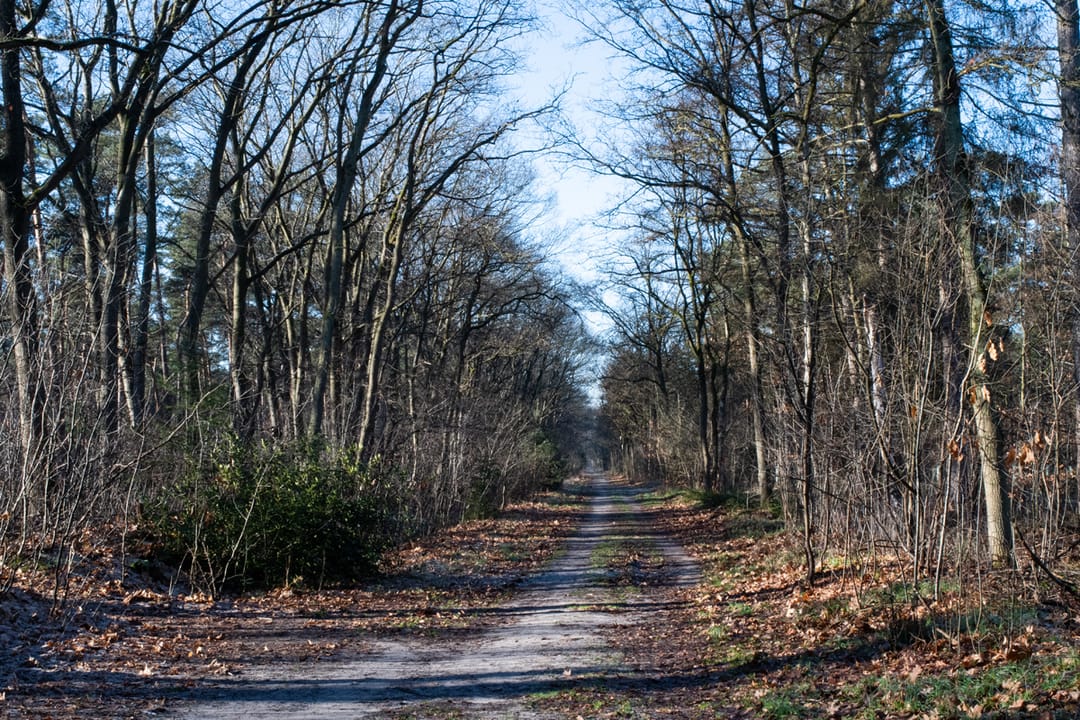 Foto 11 van Appartement (Bouwnr. 3)