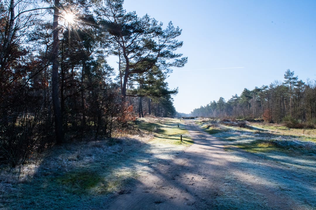 Foto 11 van Appartement (Bouwnr. 11)