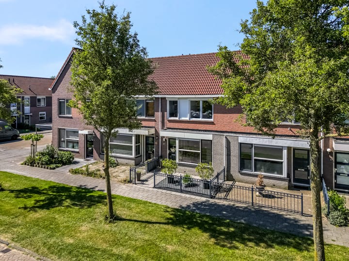 Foto 1 van Duifkruid 67