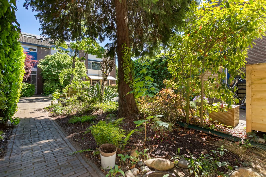 Foto 37 van Derde Buitenpepers 10