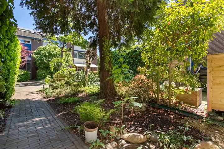 Foto 37 van Derde Buitenpepers 10