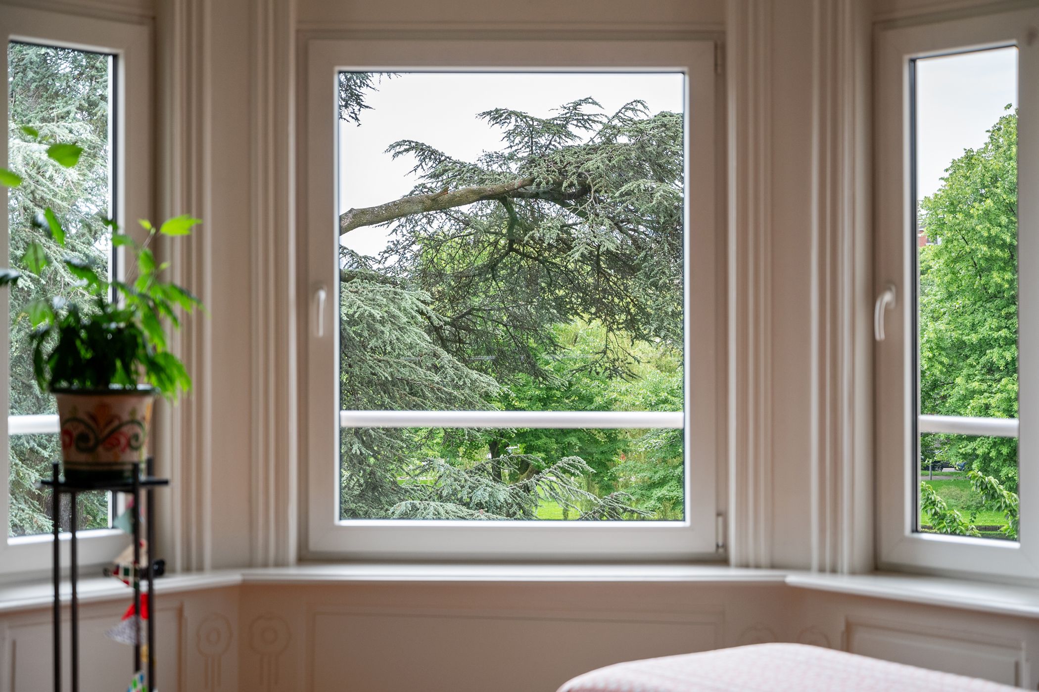 Foto 12 van Heemraadssingel 217-A