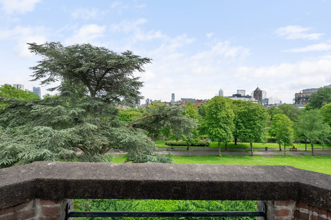 Foto 28 van Heemraadssingel 217-A