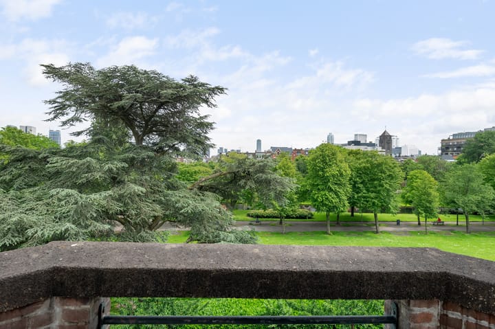 Foto 28 van Heemraadssingel 217-A