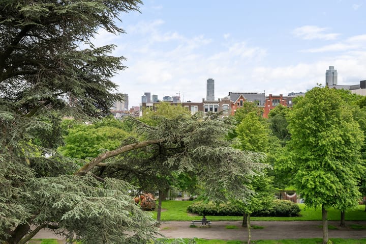 Foto 37 van Heemraadssingel 217-A