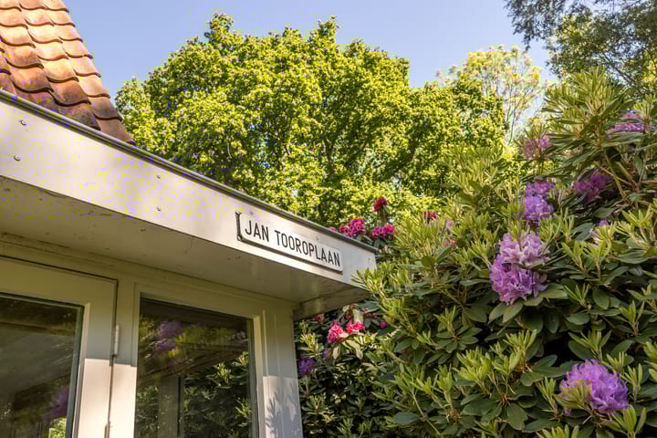 Foto 29 van Jan Tooropplantsoen 1