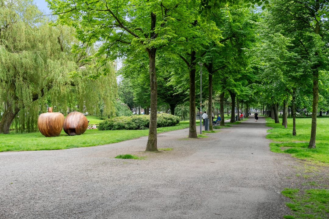 Foto 2 van Heemraadssingel 217-A