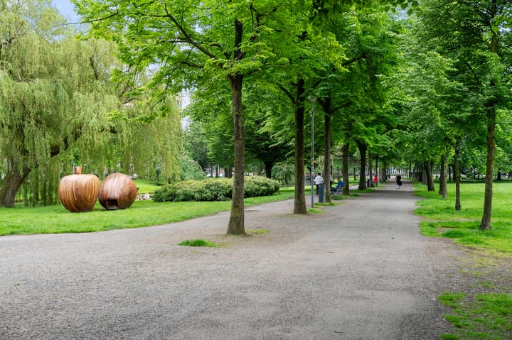 Foto 2 van Heemraadssingel 217-A