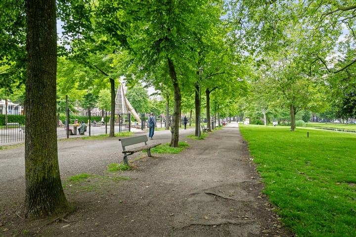 Foto 44 van Heemraadssingel 217-A