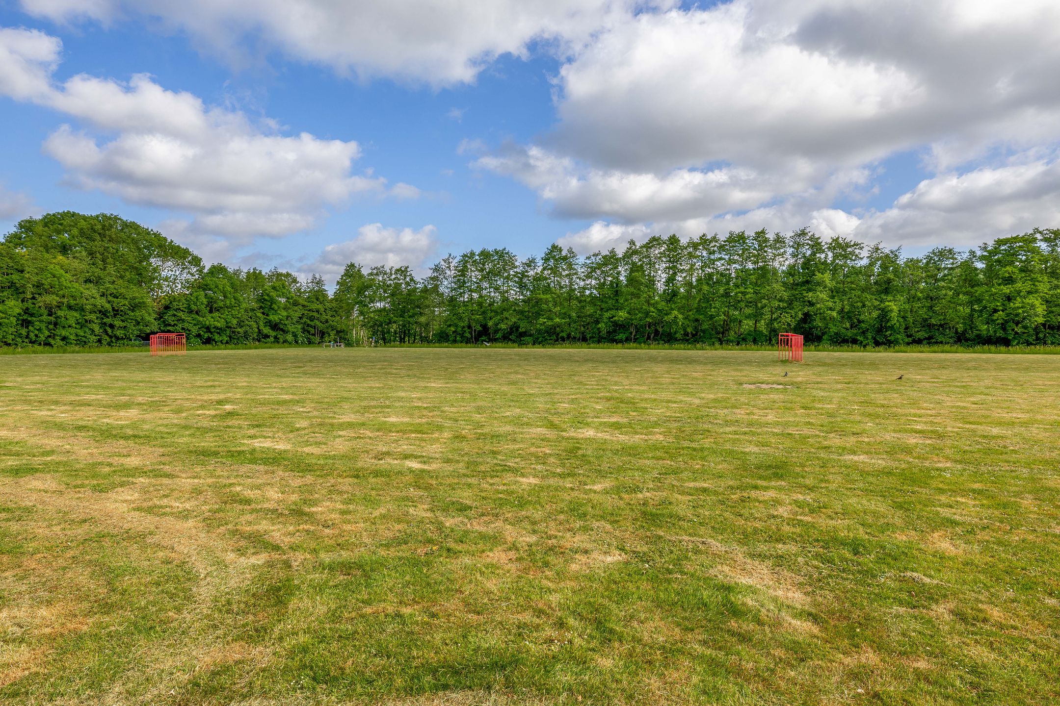 Foto 6 van Haagwinde 54