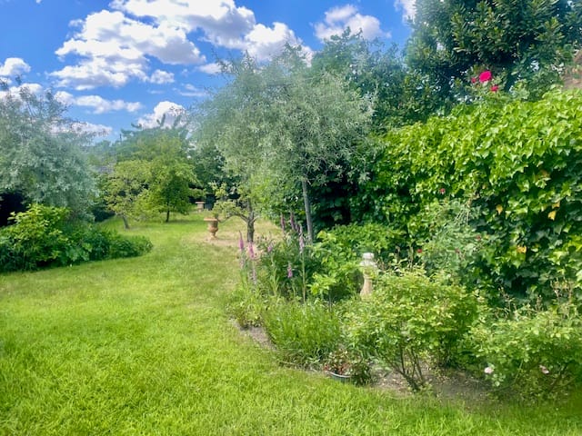 Foto 47 van Pastoor van Sonsbeeckstr 21