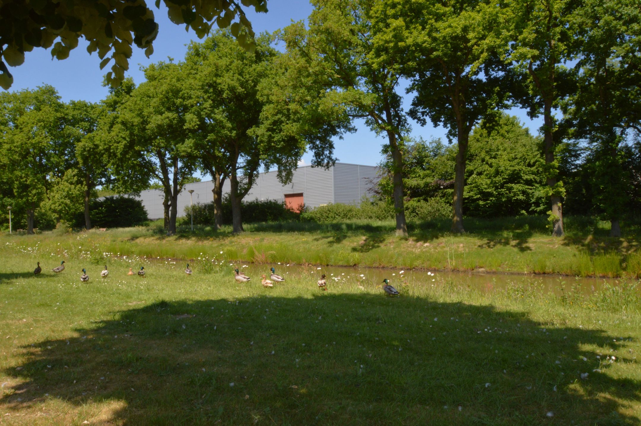 Photo 27 of Rietven 66