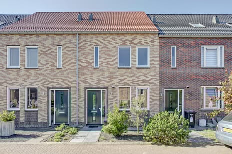 undefined main image