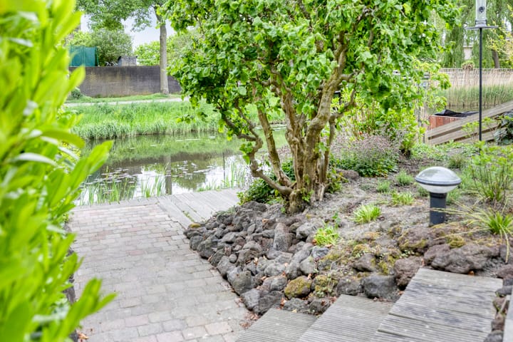 Foto 38 van Irene Vorrinkland 32