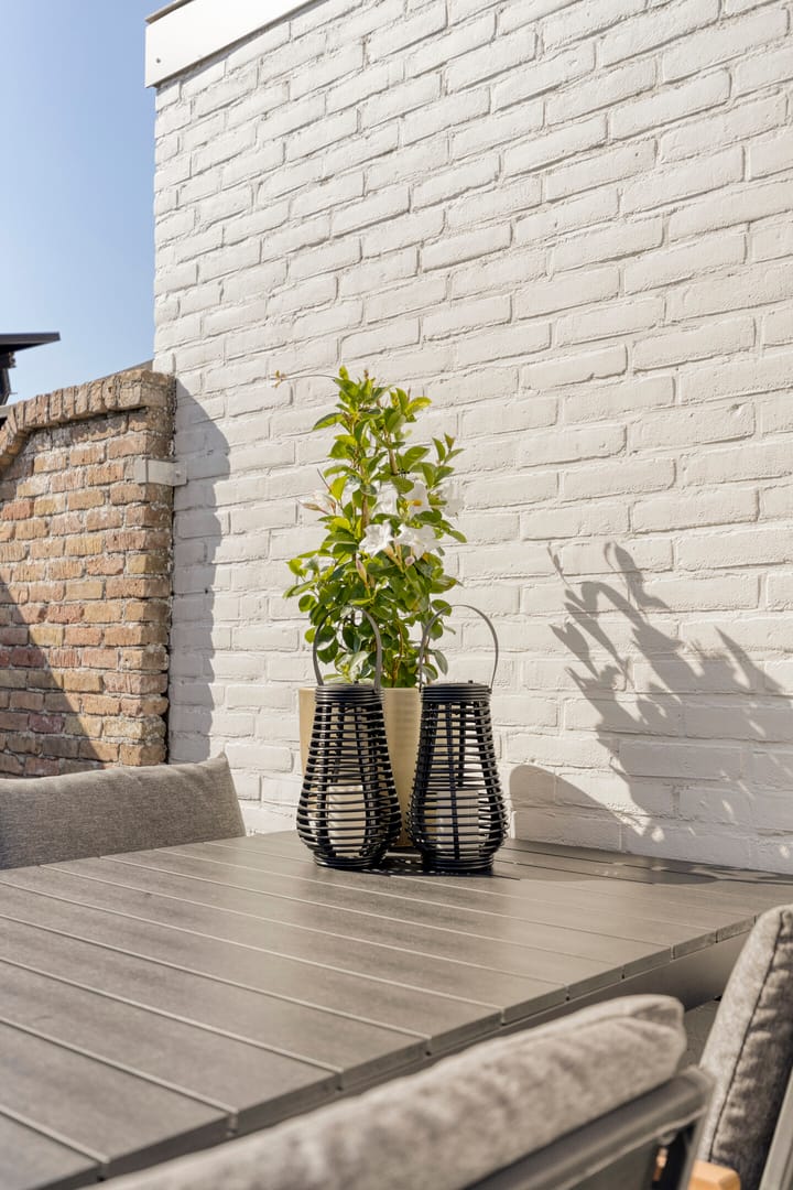 Photo 30 of Rodedorp 11