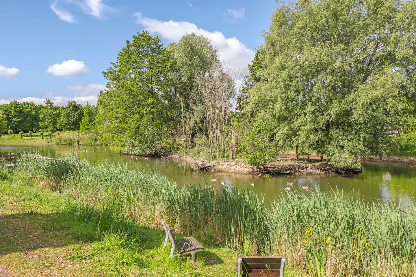 Foto 65 van Weefgewichtstraat 118