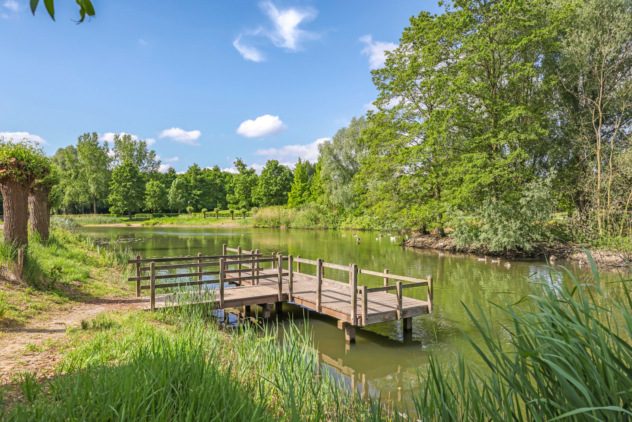 Foto 66 van Weefgewichtstraat 118