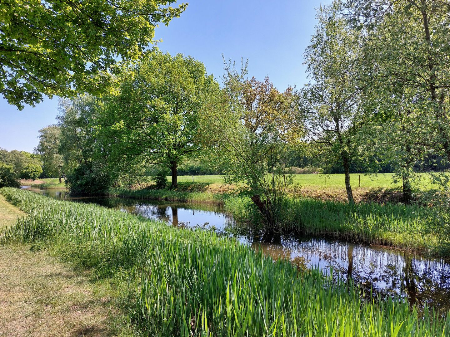 Foto 49 van Jachtopziener 1