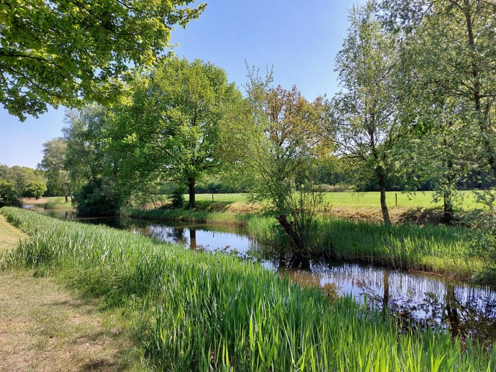 Foto 49 van Jachtopziener 1