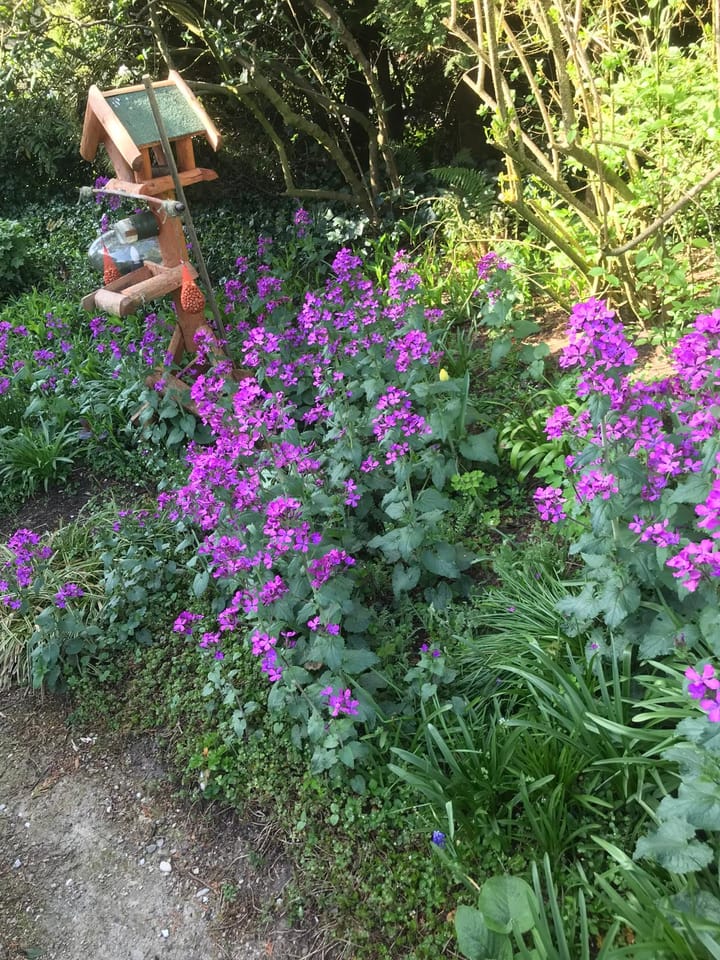 Foto 43 van Jachtopziener 1