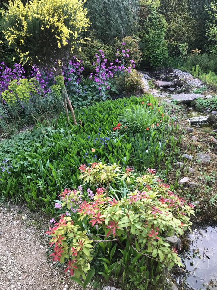 Foto 44 van Jachtopziener 1