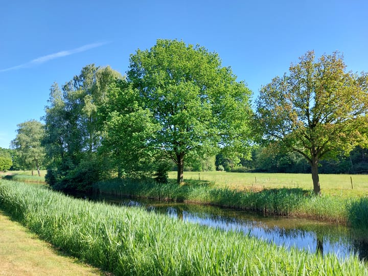 Foto 59 van Jachtopziener 1