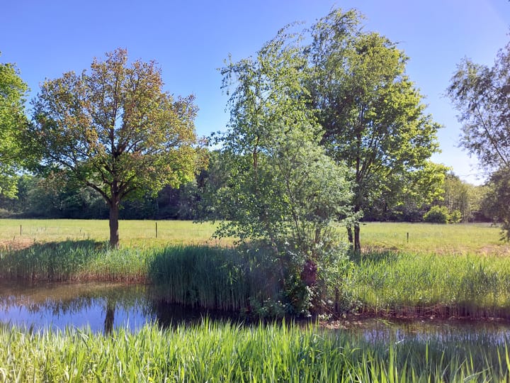 Foto 60 van Jachtopziener 1