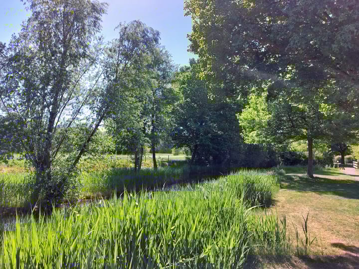 Foto 61 van Jachtopziener 1