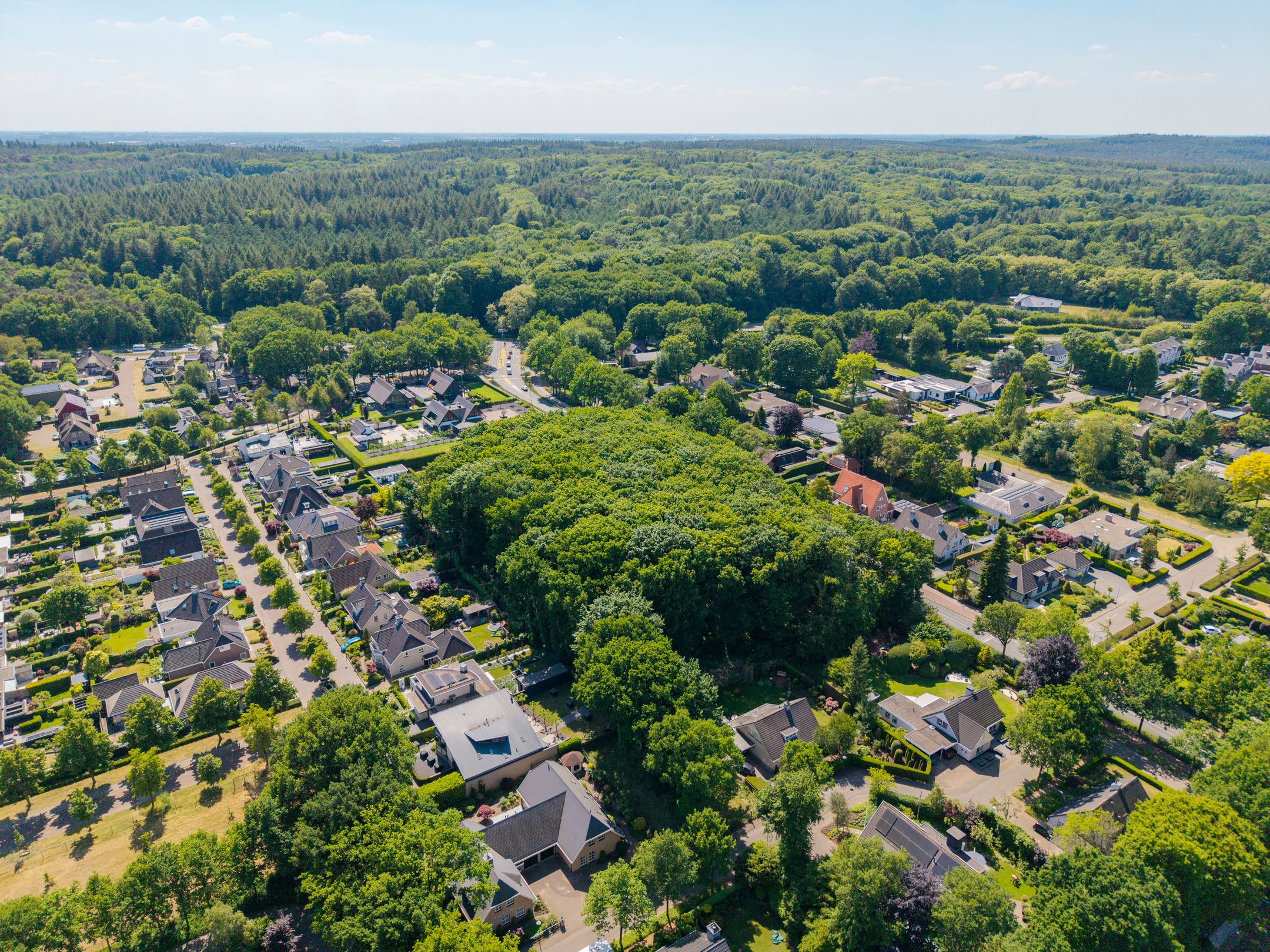 Foto 3 van Veenmos 2