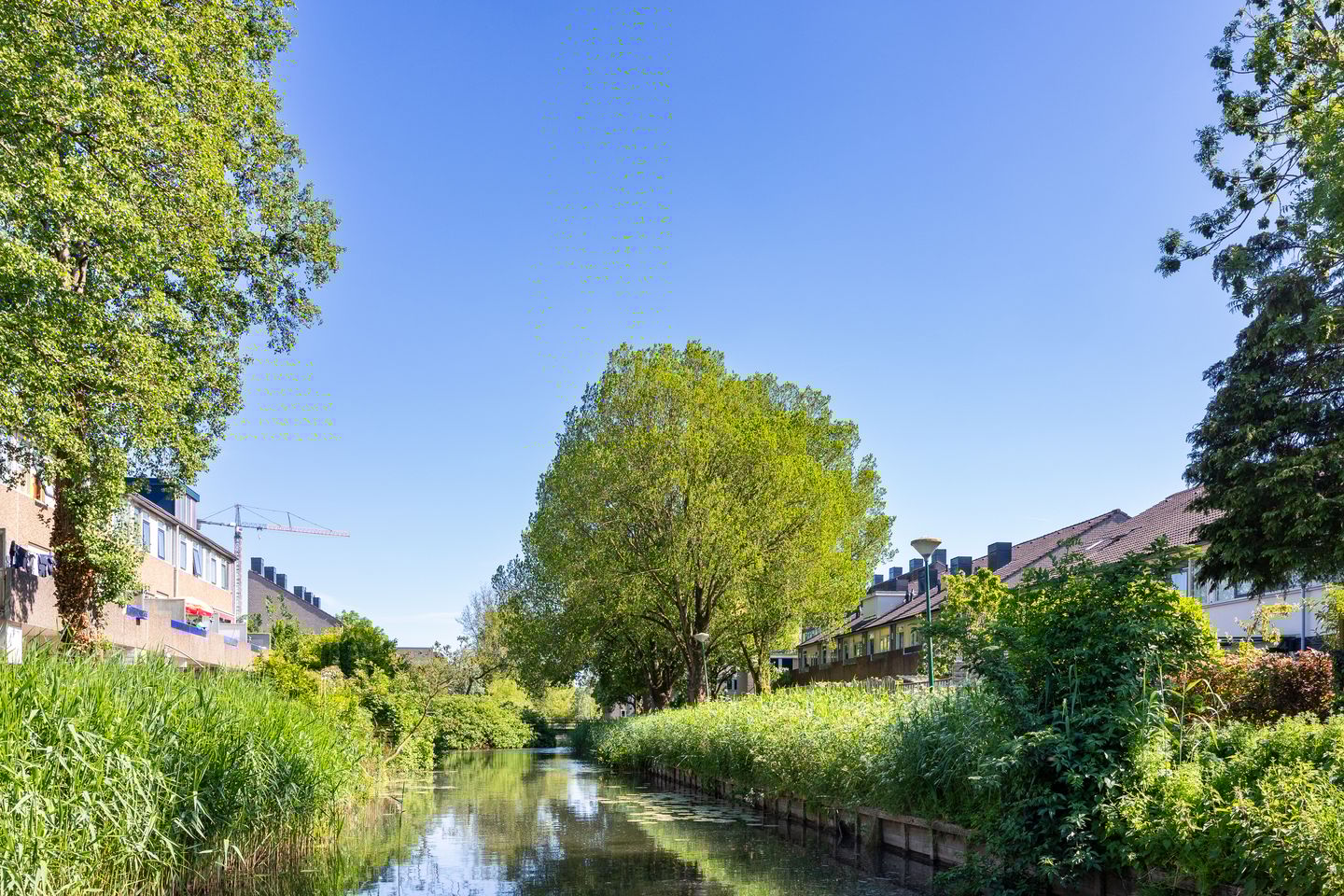 Foto 50 van Bloemstede 172