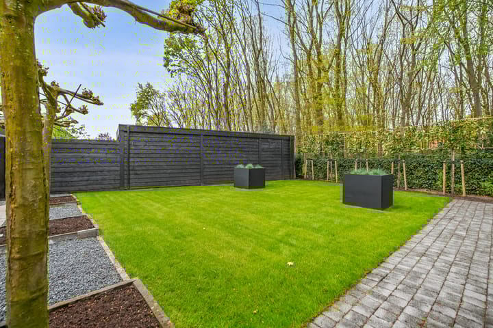 Foto 58 van Veenmos 2