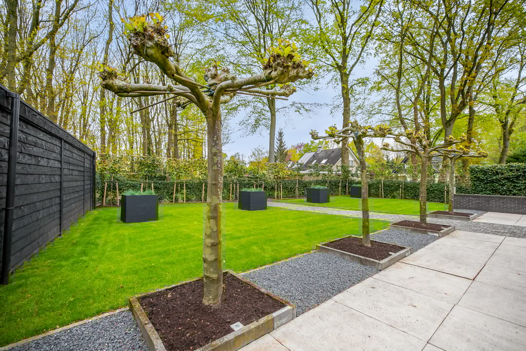 Foto 61 van Veenmos 2