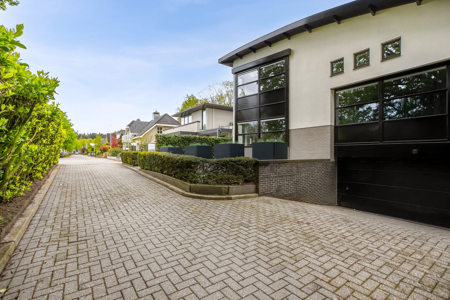 Foto 70 van Veenmos 2