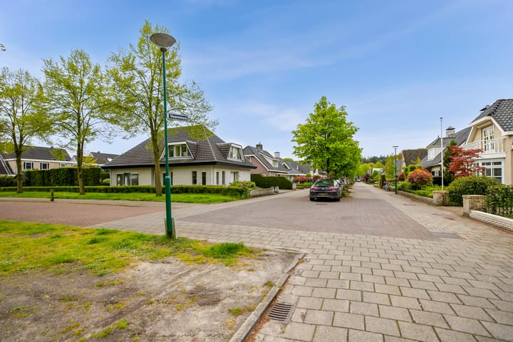 Foto 74 van Veenmos 2