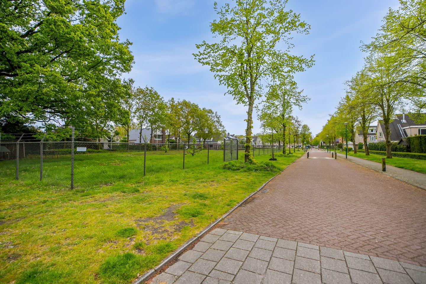 Foto 74 van Veenmos 2