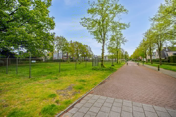 Foto 75 van Veenmos 2