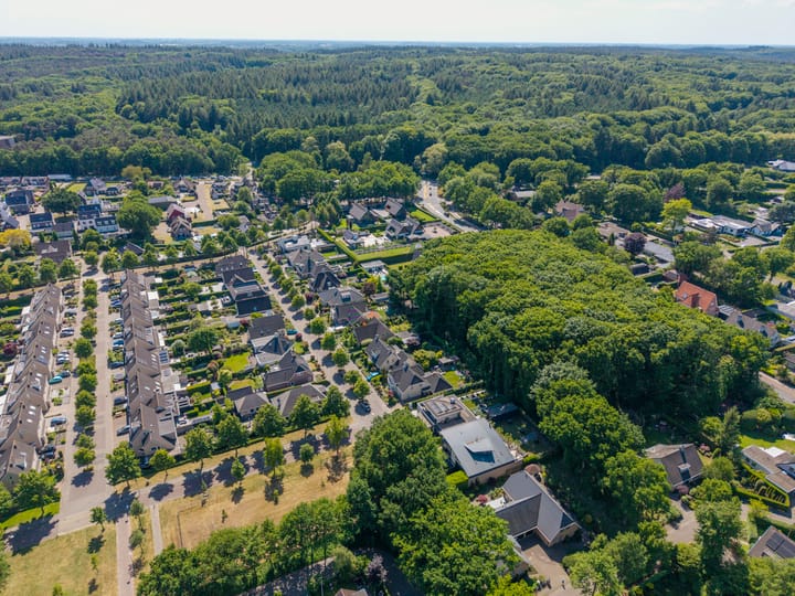 Foto 7 van Veenmos 2