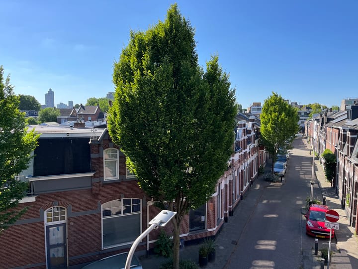 Photo 9 of Rozenstraat 94