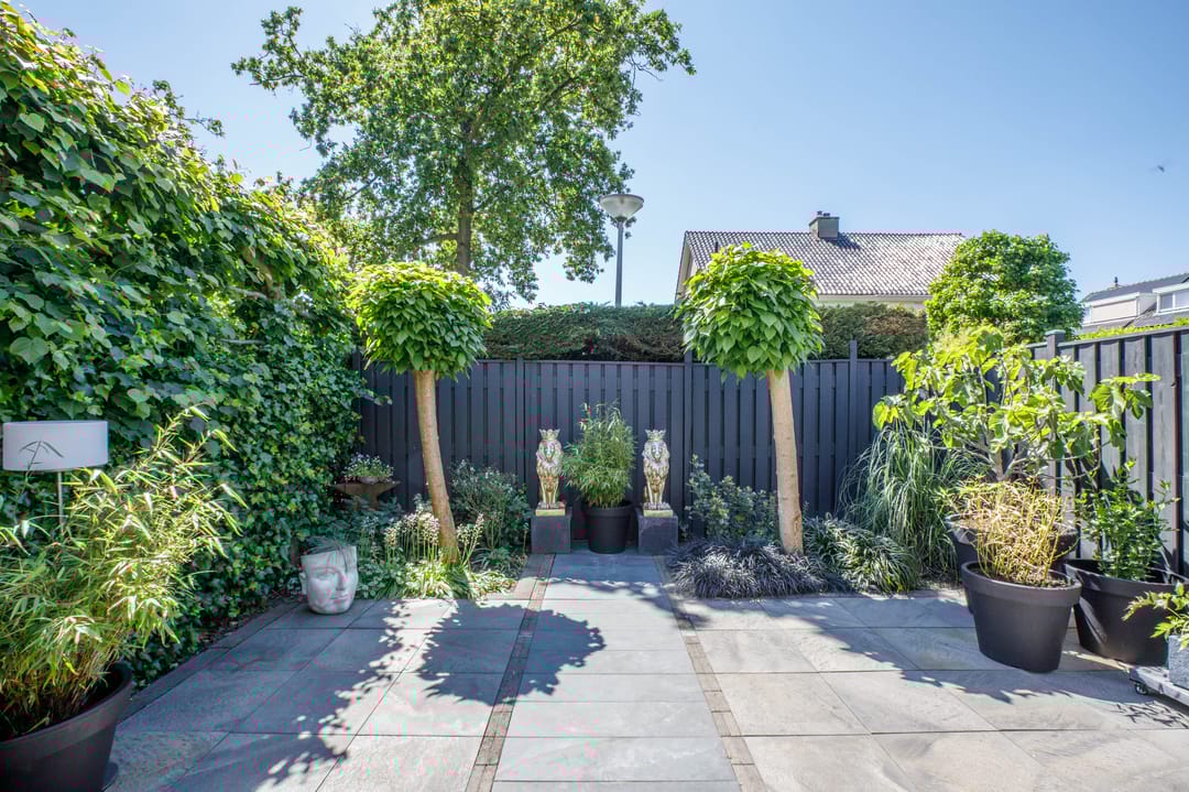 Foto 16 van Rietveen 6