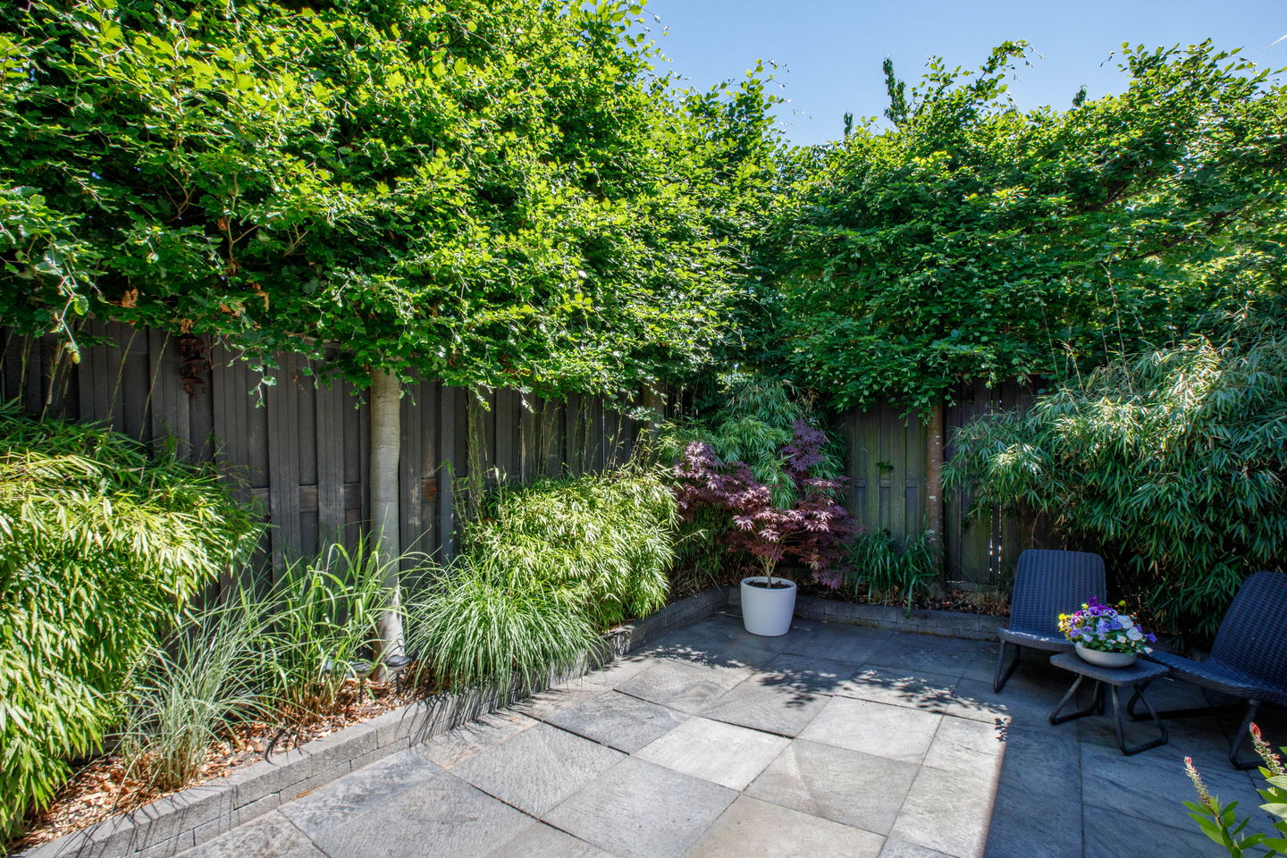 Foto 25 van Rietveen 6