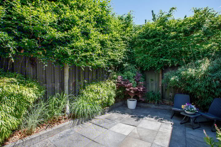 Foto 25 van Rietveen 6