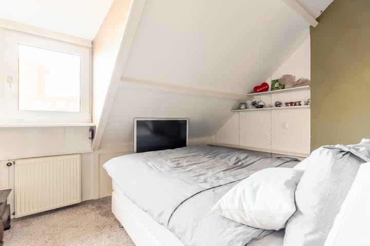 Foto 43 van Rietveen 6