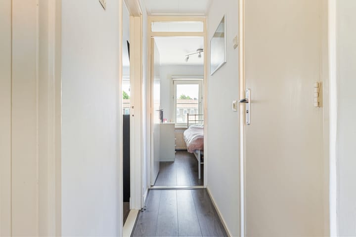 Foto 21 van Domela Nieuwenhuisstraat 17